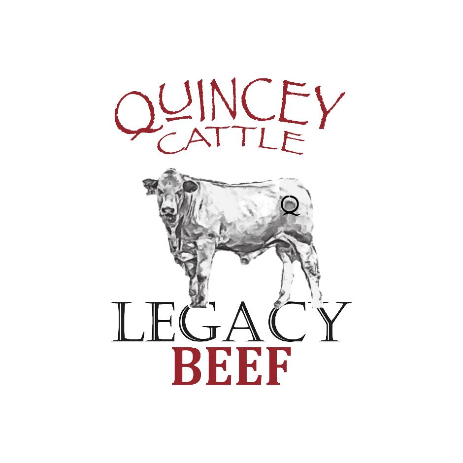 Quincey Cattle Company logo